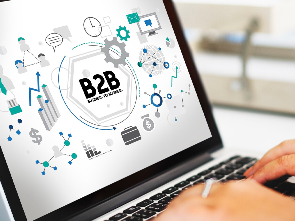 b2b web paneli